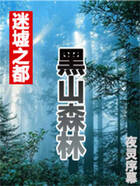 迷墟之都（一）黑山禁林在線閱讀