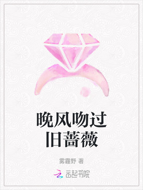 晚风吻过旧蔷薇在线阅读