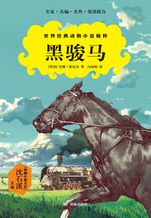 黑骏马