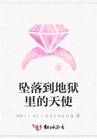 墜落到地獄里的天使在線閱讀