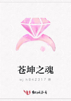苍坤之魂
