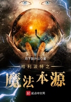 哈利波特之魔法本源
