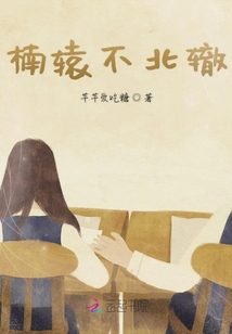楠轅不北轍