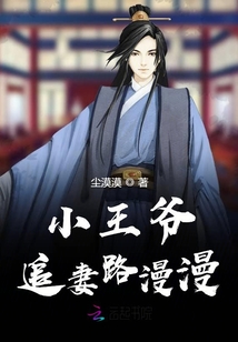 小王爺追妻路漫漫