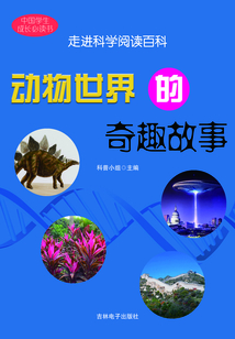 動物世界的奇趣故事