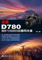 尼康D780摄影与视频拍摄技巧大全