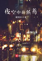 夜空中的紙鳶在線閱讀