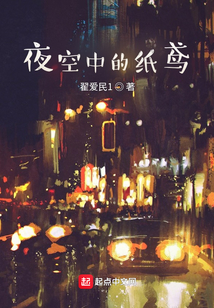 夜空中的紙鳶