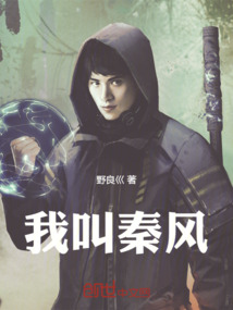我叫秦風