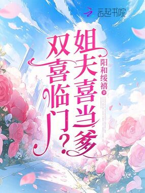 双喜临门？姐夫喜当爹在线阅读