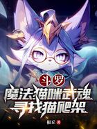 斗罗：魔法猫咪武魂，寻找猫爬架在线阅读