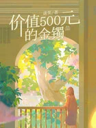 价值500元的金镯在线阅读