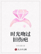 时光吻过旧伤疤在线阅读