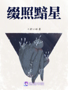 綴照黯星在線閱讀