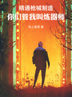 精通枪械制造，你们管我叫炼器师在线阅读