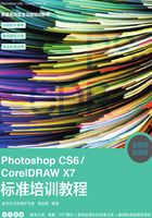 Photoshop CS6/CorelDRAW X7标准培训教程