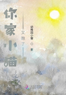 你家小貓又跑了
