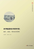 世界能源史中的中国：诞生、演变、利用及其影响在线阅读