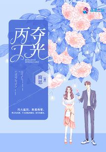 丙奪丁光