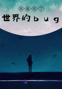 我看到了世界的bug
