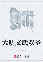 大明文武双圣在线阅读