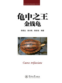 龜中之王：金錢龜