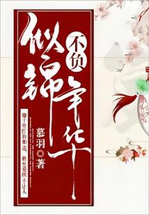 不負似錦年華