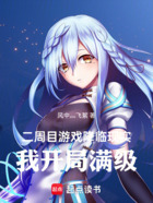 二周目游戏降临现实,我开局满级