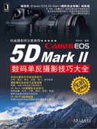 Canon EOS 5D MarkⅡ数码单反摄影技巧大全（实拍攻略版）