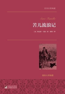 苦兒流浪記