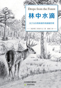 林中水滴