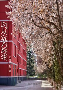 風(fēng)從遠(yuǎn)方趕來(lái)