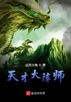 天才大阵师在线阅读