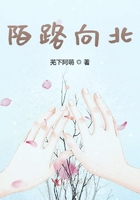 陌路向北在線閱讀