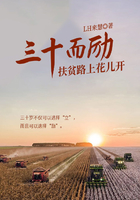 三十而勵：扶貧路上花兒開在線閱讀