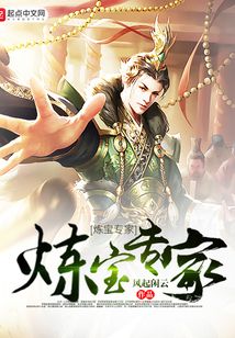 炼宝专家 cover