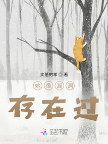她像漏洞存在過