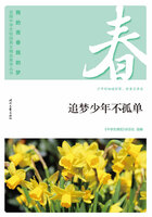 “我的青春我的梦”全国中学生校园美文精品集萃丛书：追梦少年不孤单在线阅读