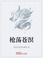 枪荡苍溟在线阅读