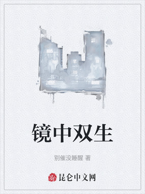 镜中双生在线阅读