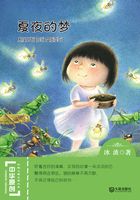 夏夜的梦（中华原创幻想儿童文学大系）在线阅读