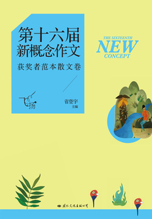 飛揚:第十六屆新概念作文獲獎者范本散文卷