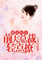 婚浅情深:前夫总裁轻点撩在线阅读