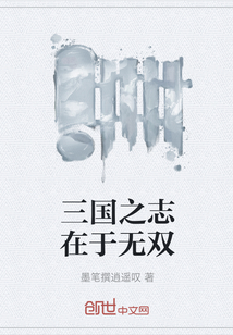 三國之志在于無雙