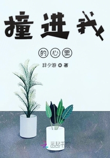 撞進(jìn)我的心里
