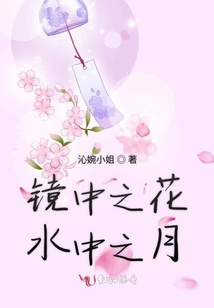 鏡中之花水中之月