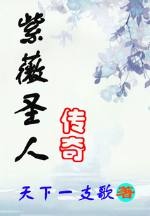 紫薇圣人傳奇