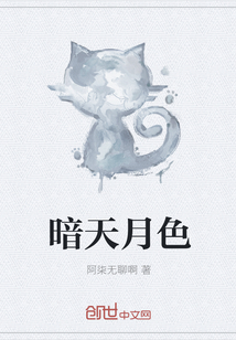 暗天月色