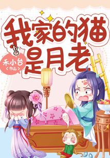 我家的猫是月老