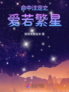 命中注定之爱若繁星在线阅读